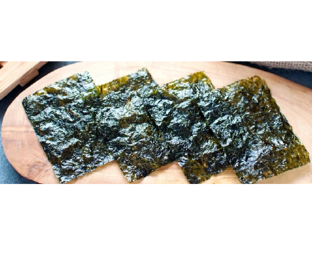 Seaweeds  海草類